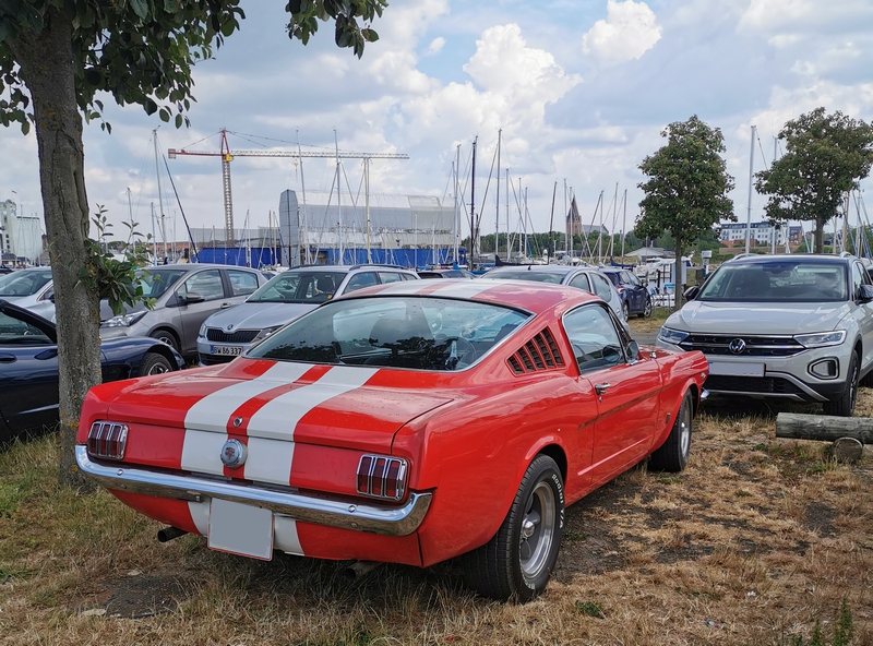 Ford Mustang Fastbag